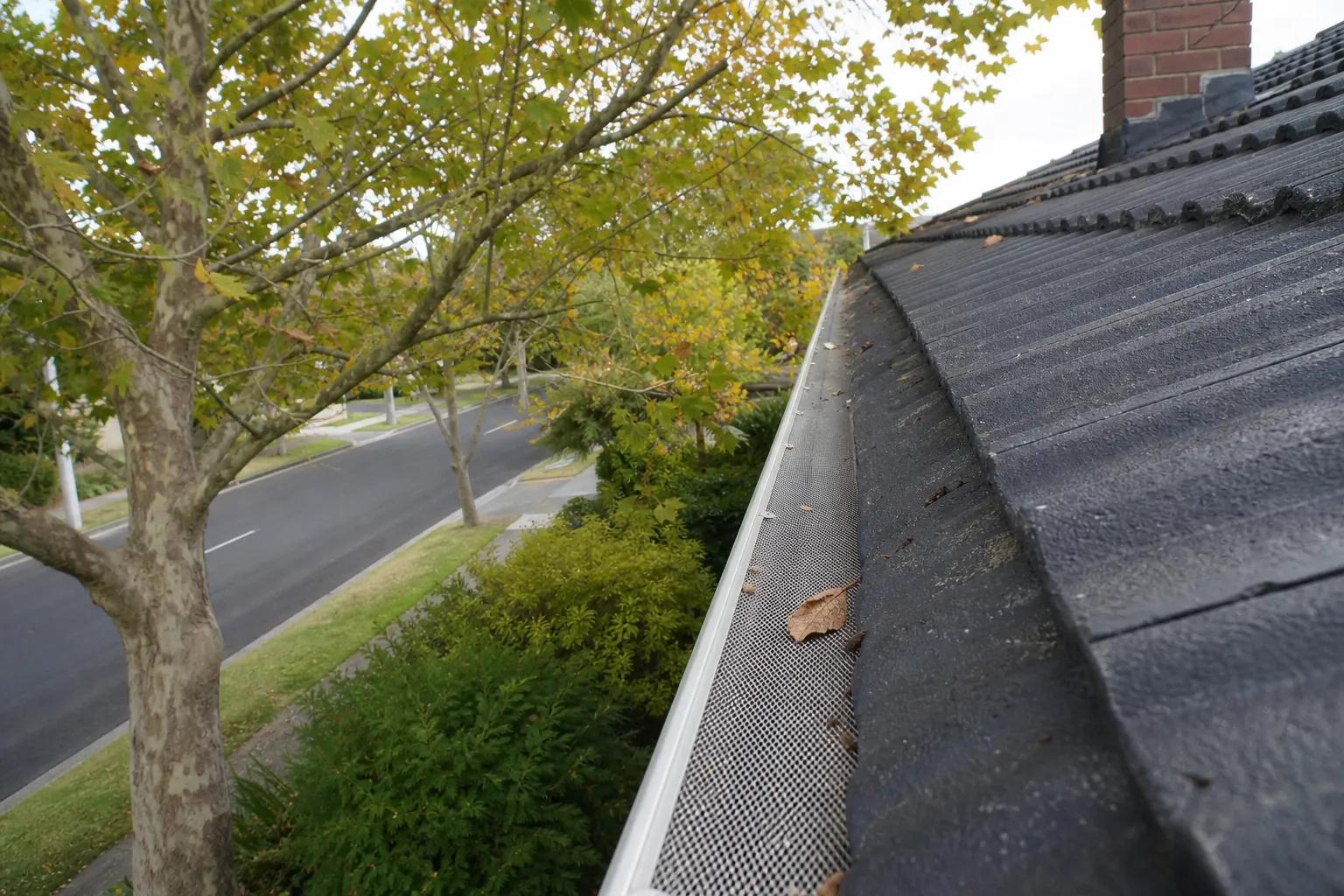Aluminium mesh gutter guard fitted along the gutter of a northern-suburbs Melbourne home under an overhanging leafy tree, seen from roof level